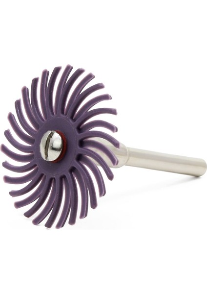 16 Adet Aşındırıcı Fırça Tekerleği Radyal Kıl Disk Karışık Parlatma Tekerlek Fırçaları Döner Dremel Aracı Için 4x Mandrel ile Set (Yurt Dışından)