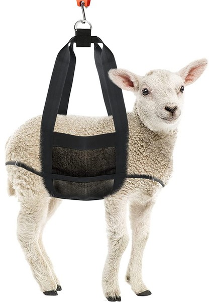 Küçük Hayvanları Tartmak Için 4x Buzağı Sling, Hayvancılık Sling, Asma Ölçeği, Buzağı Ölçeği Tartım Için Asma Ağırlık Ölçeği Sling (Yurt Dışından) indirimleri