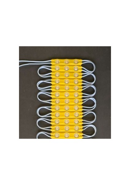 1,2W Modül LED Su GEÇIRMEZ12 Volt