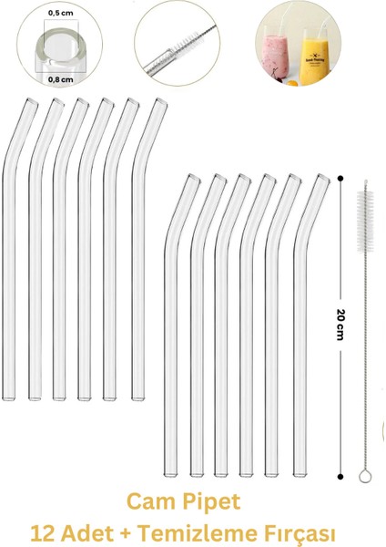 Lev Aksesuar 12 Adet Cam Pipet ve Pipet Temizleme Fırçası, Hijyenik Pipet, Sağlıklı Cam Pipet