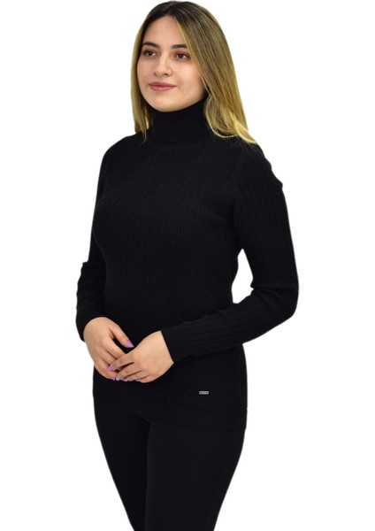 Kadın Büyük Beden Balıkçı Yaka Kazak R22897 BGL-ST03178-1 fiyatları