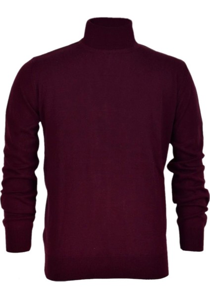 Erkek Spor Düz Balıkçı Yaka Kazak R21010 BGL-ST03179