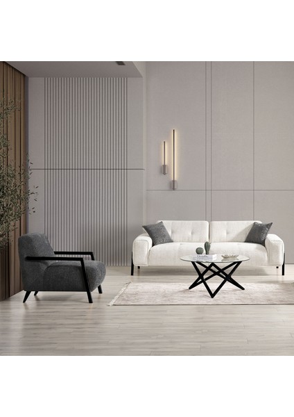 Dolex Siyah Kasa Modern Sırt Mekanizmalı Koltuk Takımı 3+1