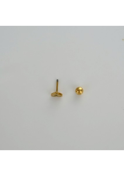 Gold Çelik Kalp Model Helix Piercing