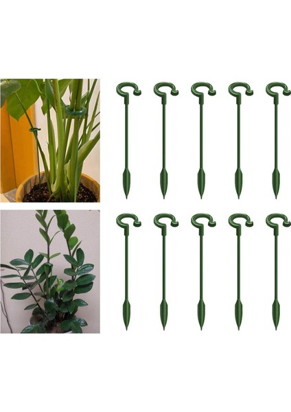 Plastik Bitki Destek Kazıkları Güller, Zambaklar, Phalaenopsis Için Bitki Çubukları (Yurt Dışından)