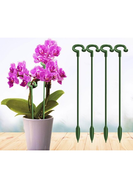 Plastik Bitki Destek Kazıkları Güller, Zambaklar, Phalaenopsis Için Bitki Çubukları (Yurt Dışından) fırsatları