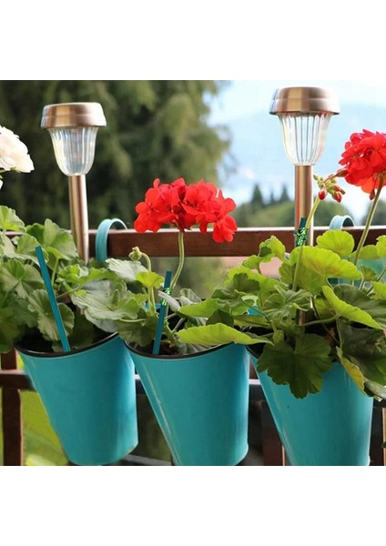 40 Parça Orkide Klipsi Plastik Bahçe Tesisi Klipsi, 20 Parça Bitki Destek Kazığı, 20 Parça Metalik Büküm (Yurt Dışından) indirimleri