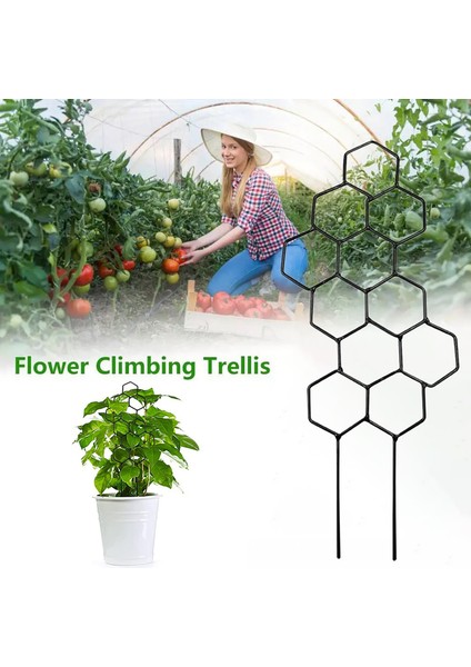 Bitki Rafı Uzun Ömürlü Keskin Kenarlar Yok Çiçek Bitki Tırmanma Kafes Rafı (Yurt Dışından) modelleri