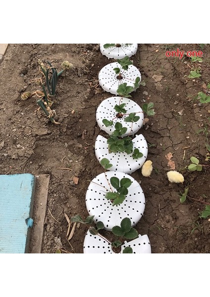 Bitki Desteği-1 * Çilek Çerçeve-Beyaz (Yurt Dışından) indirimleri