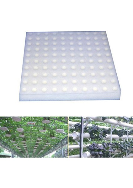 100 Adet Topraksız Topraksız Sebze Fide Saksıları Fidanlık Süngeri Kültür Podazz (Yurt Dışından)