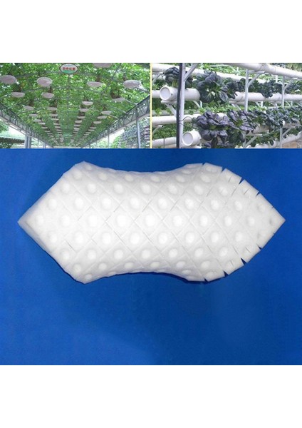 100 Adet Topraksız Topraksız Sebze Fide Saksıları Fidanlık Süngeri Kültür Podazz (Yurt Dışından) modelleri