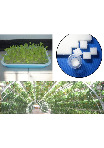 100 Adet Topraksız Topraksız Sebze Fide Saksıları Fidanlık Süngeri Kültür Podazz (Yurt Dışından) fırsatları