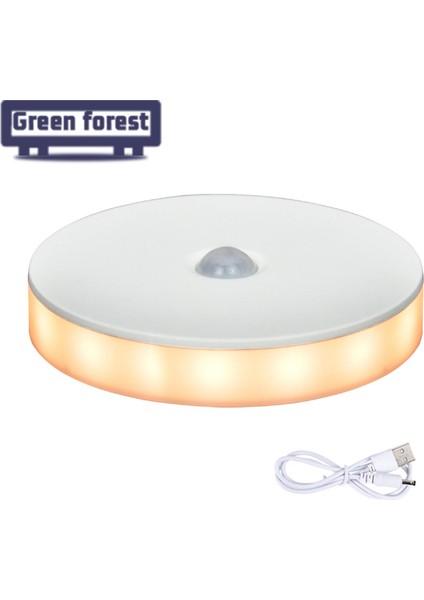 Yeşil Orman LED Indüksiyon Lambası Yüksek Parlaklık USB Merdiven Otomatik Açma/kapama LED Indüksiyon Lambası (Yurt Dışından) fiyatları