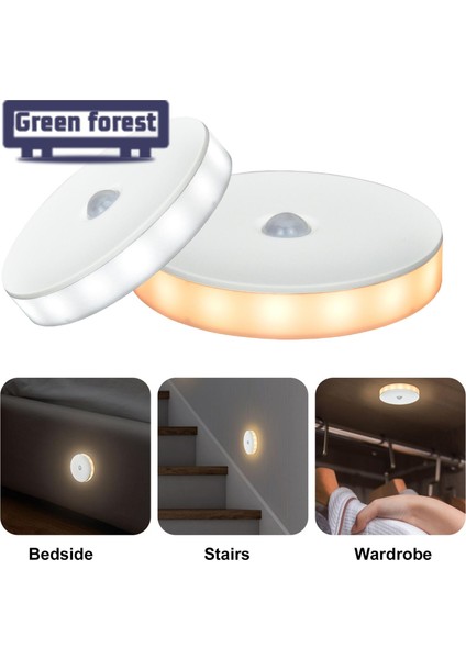 Yeşil Orman LED Indüksiyon Lambası Yüksek Parlaklık USB Merdiven Otomatik Açma/kapama LED Indüksiyon Lambası (Yurt Dışından) indirimleri