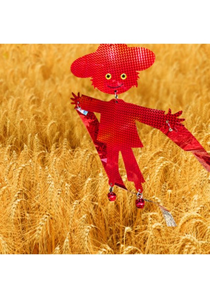 Kuş Korkuluğu Su Geçirmez Iki Taraflı Reflektif Kuş Korkuluğu (Yurt Dışından) fırsatları