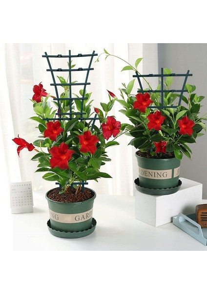 2 Adet Bahçe Tesisi Asma Çerçeve Tırmanma Asma Braketi Çiçek Standı Bitki Desteği Podazz (Yurt Dışından) indirimleri