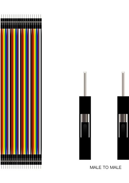 40 Pin Erkek - Erkek Jumper Kablo - 20cm