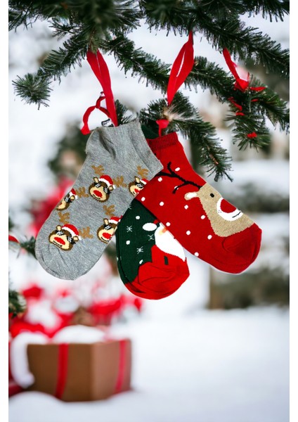 Unisex Yılbaşı Temalı 3'lü Patik Çorap Seti fiyatları