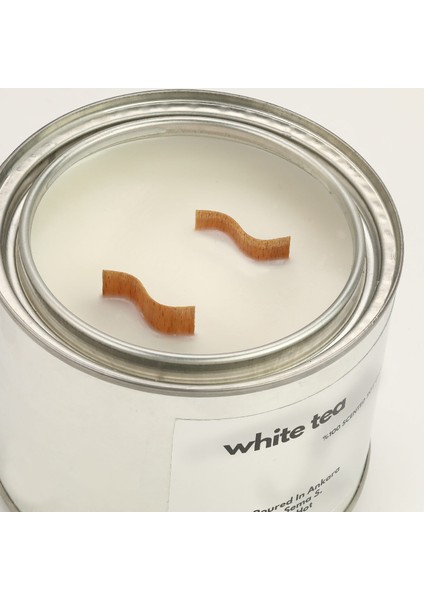 : Kokulu Soya Mum : 600 gr : Sweet Cardamom modelleri
