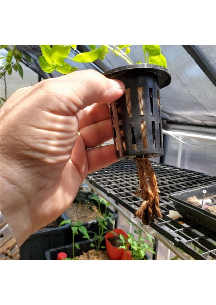 600 Paket 1.77 Inç Net Bardaklar Oluklu Örgü Geniş Dudak Filtre Tesisi Net Pot Kova Sepeti Hidroponik Aquaponics Orkide (Yurt Dışından)