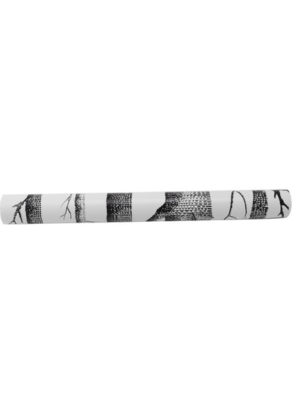 4x Siyah Ağaç Duvar Kağıdı Yatak Odası Için Modern Tasarım Oturma Odası Duvar Kağıdı Rulo Rustik Orman Orman Duvar Kağıtları (Yurt Dışından) modelleri