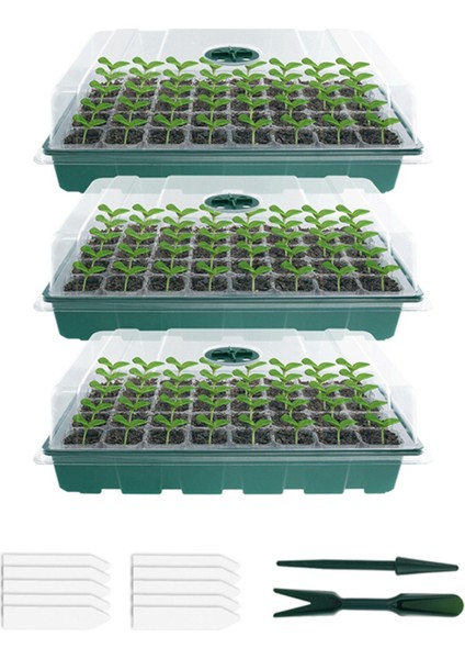 6x Sera Tohumu Fide Tepsileri Çiçek Bitki Çimlenme Büyüme Kutusu Fidanlık Saksıları Sera Bahçecilik Pot Yeşil (Yurt Dışından)