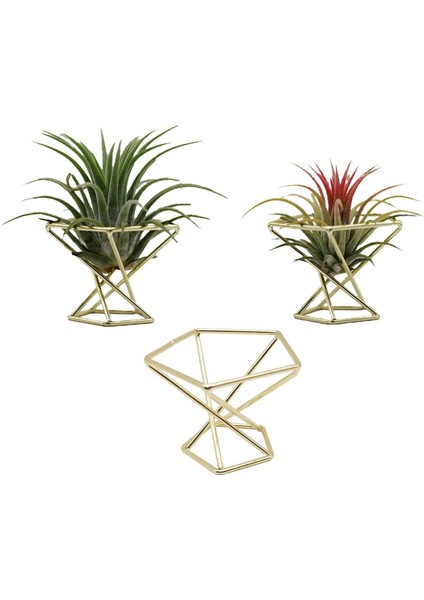 12 Adet Geometrik Hava Tesisi Tutucu Airplants Raf Metal Bitkiler Standı Ekici Raflar Himmeli Dekor Tillandsia Konteynerler (Yurt Dışından)