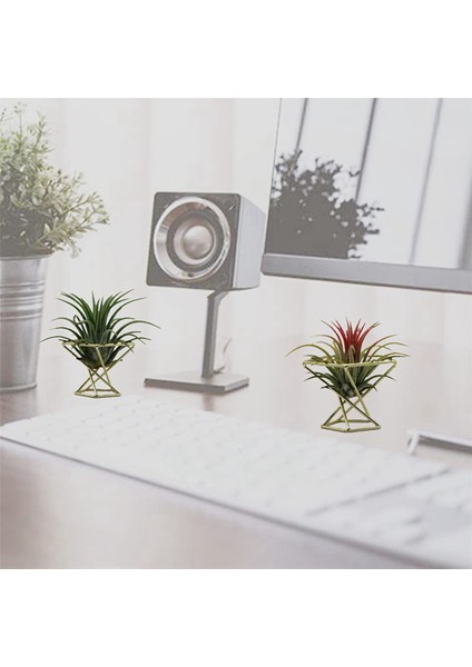 12 Adet Geometrik Hava Tesisi Tutucu Airplants Raf Metal Bitkiler Standı Ekici Raflar Himmeli Dekor Tillandsia Konteynerler (Yurt Dışından)