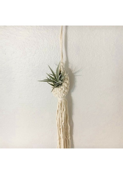 2x Boho Makrome Hava Tesisi Askı Tillandsia Asılı Sepet Halat Tutucu Çiçek Ev Dekor (10 Cm) (Yurt Dışından)