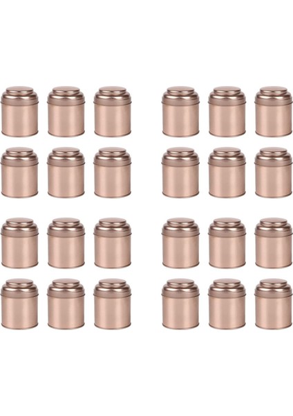 Hava Geçirmez Çift Kapaklı 24 Adet Çay Teneke Kutu, Mini Teneke Kutu Kutu ve Çay Için Küçük Yuvarlak Mutfak Kutuları (Gül Altın) (Yurt Dışından)