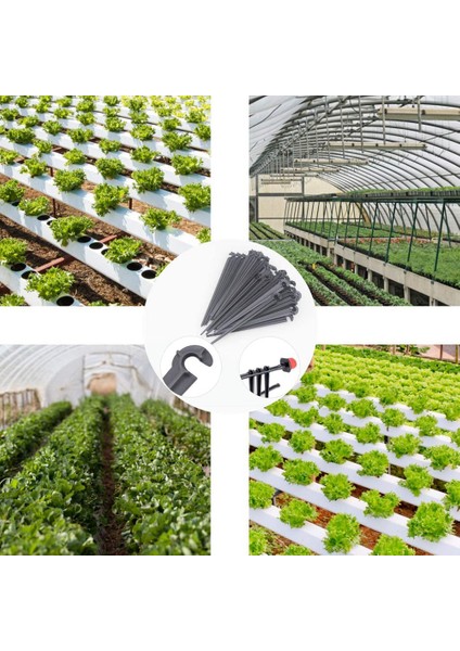 Sulama Damla Destek Kazıkları 1/4 Inç Boru Hortumu Sebze Çiçek Yatakları Için Otlar Siyah 1000 Paket (Yurt Dışından)