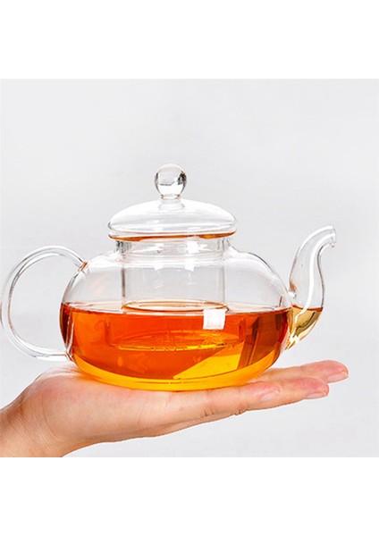 2x Isıya Dayanıklı Cam Çaydanlık Filtre Çay Seti Altı Kişilik Pot Borosilikat Pot 600ML (Yurt Dışından)