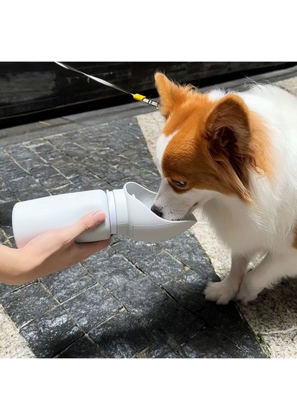 Lecheng Katlanır Köpek Su Şişesi - Gri (Yurt Dışından)