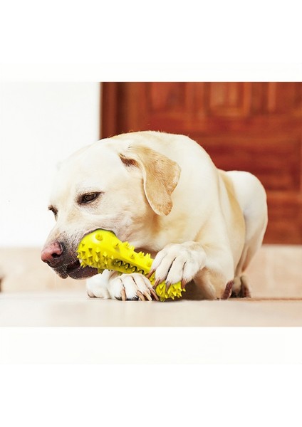 Lecheng Evcil Hayvan Malzemeleri Köpek Sesli Diş Fırçası Oyuncağı - Mavi (Yurt Dışından)