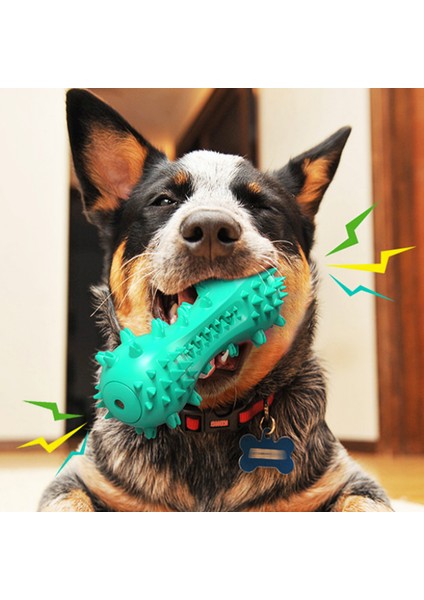 Lecheng Evcil Hayvan Malzemeleri Köpek Sesli Diş Fırçası Oyuncağı - Yeşil (Yurt Dışından) fiyatları