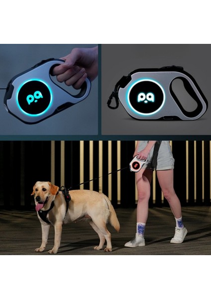 Lecheng LED Işıklı Otomatik Geri Çekilebilir Köpek Tasması - Beyaz (Yurt Dışından)