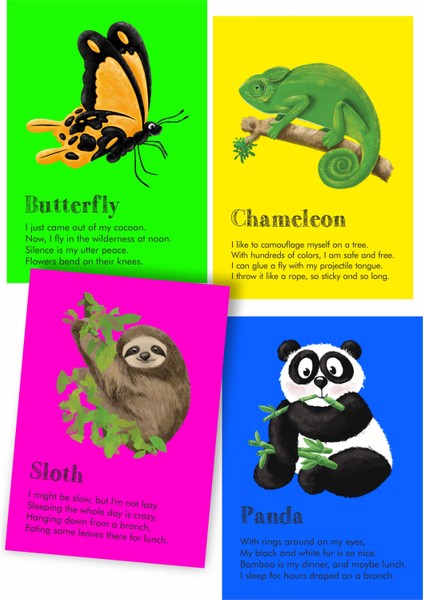 Rhyme Cards New Generational Flash Cards modelleri