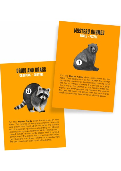 Rhyme Cards New Generational Flash Cards fırsatları