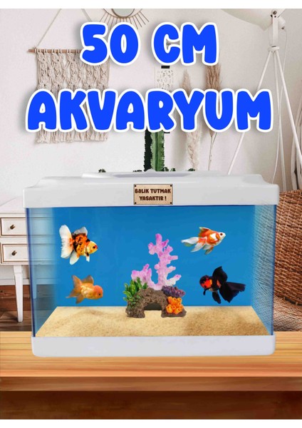 Akvaryum 50 cm Nano Akvaryum Japon Balıgı Akvaryum Büyük Akvaryum Mdizmir Petshop