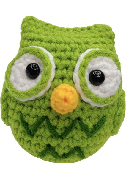 Başlayanlar Için Tığ Işi Baykuş Tığ Iş Şey (Yurt Dışından)