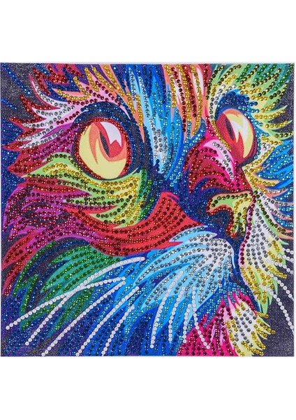 5d Dıy Düzensiz (Yurt Dışından)