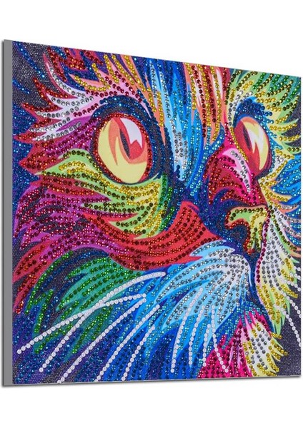 5d Dıy Düzensiz (Yurt Dışından) fiyatları