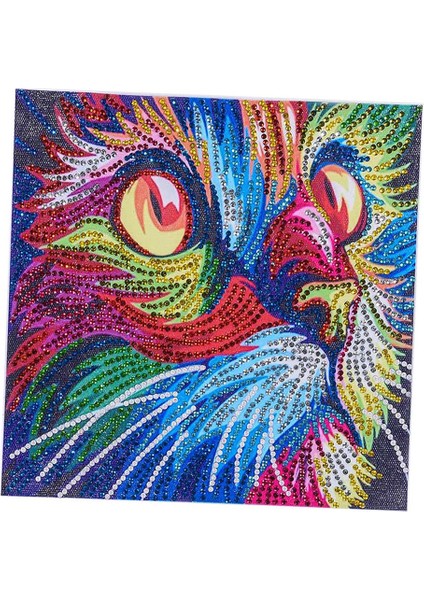 5d Dıy Düzensiz (Yurt Dışından) modelleri