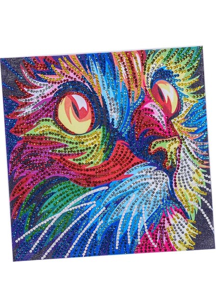 5d Dıy Düzensiz (Yurt Dışından) indirimleri