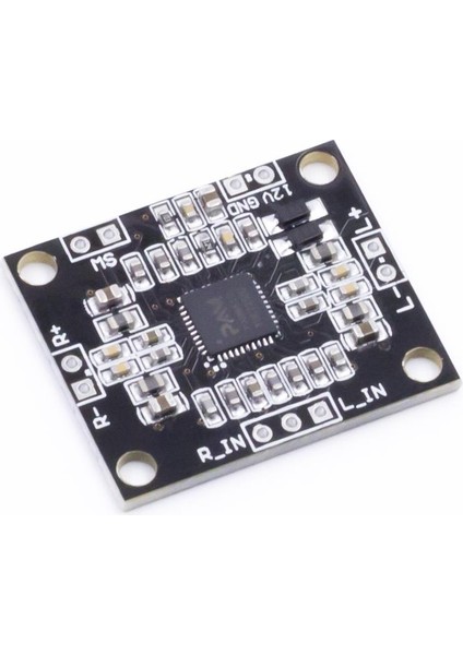 PAM8610 Mini Dijital Ses Yükseltici