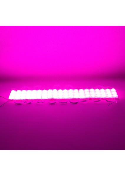 Modül LED 12V 1.5W Pembe 2835 69 x 16 mm IP65 160-180LM 160 (81)