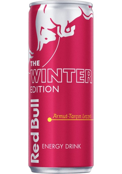 Winter Edition Armut Tarçın 250 ml