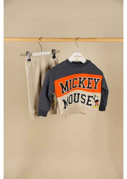 06-24 Ay Erkek Bebek Füme Renk Mickey Mouse Lisanslı Takım modelleri
