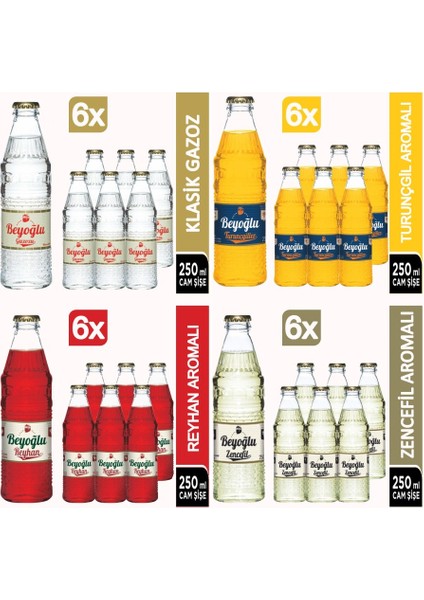 Gazlı Içecek Mix-2 24 x 250 ml