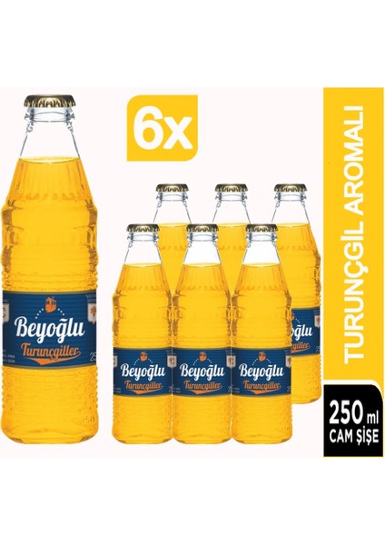 Gazlı Içecek Mix-2 24 x 250 ml